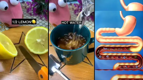 لاغری و پاکسازی روده ها با دمنوش قهوه و لیمو + فیلم و اینفوگرافیک