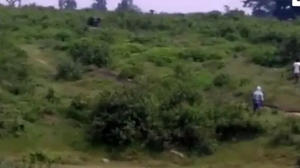 یک مرد زیر پای فیل خشمگین له شد + فیلم