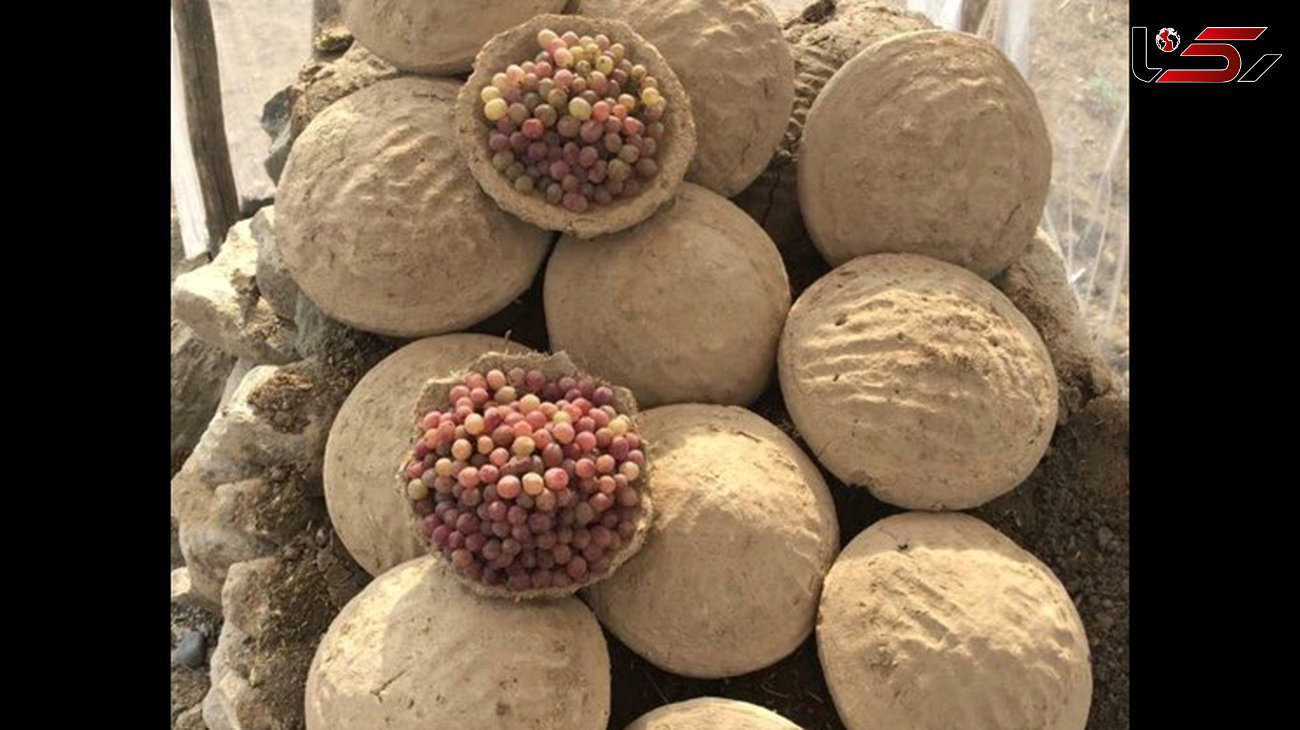 تازه نگه داشتن انگور به روش مردم افغان