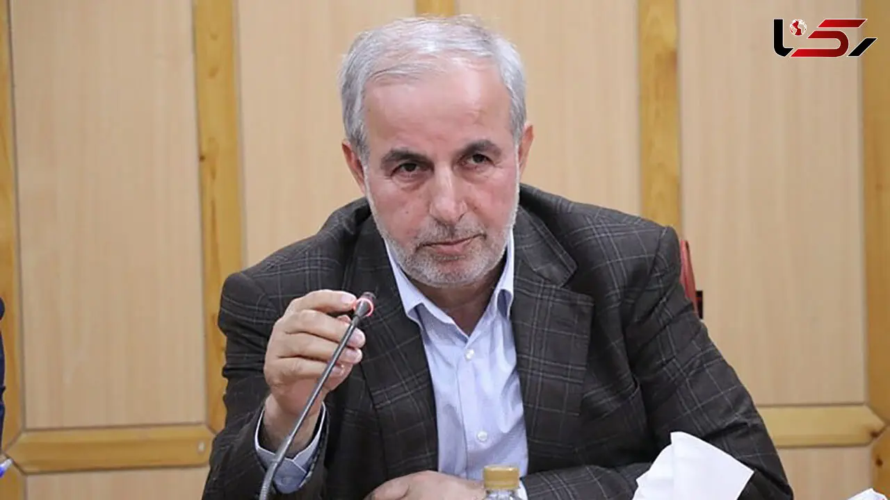 کوچکی نژاد: دولت خودش را 10 درصد کوچک کند، تحریم بی اثر می شود