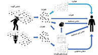 3 مسیر انتقال کرونا مشخص شد