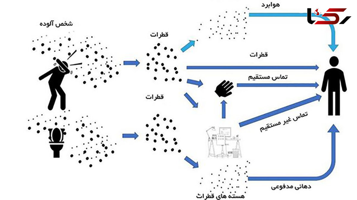 3 مسیر انتقال کرونا مشخص شد