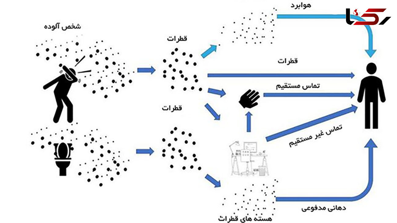 3 مسیر انتقال کرونا مشخص شد