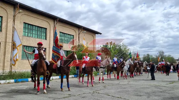 فیلم / اسب های ایرانی به تیم امداد و نجات هلال احمر پیوستند