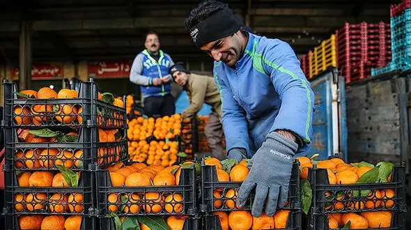 قیمت عمده فروشی میوه و صیفی در تهران + جدول
