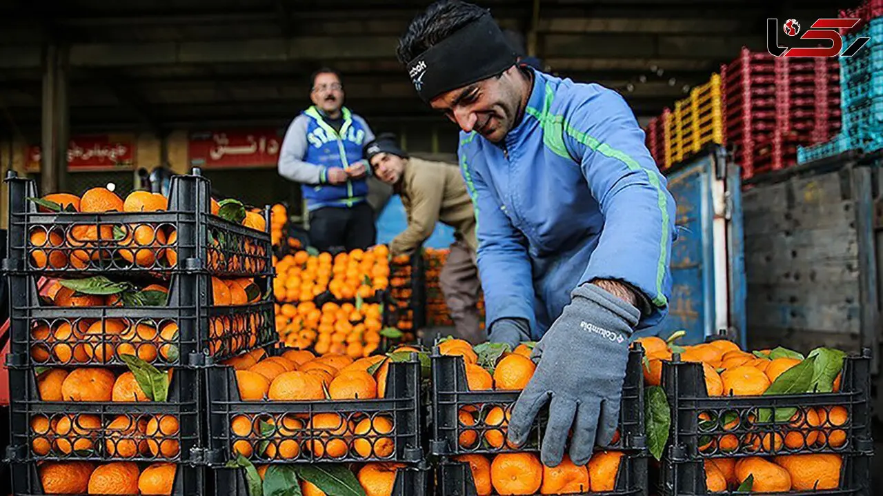 دستورالعمل‌ فروش میوه شب عید اعلام شد