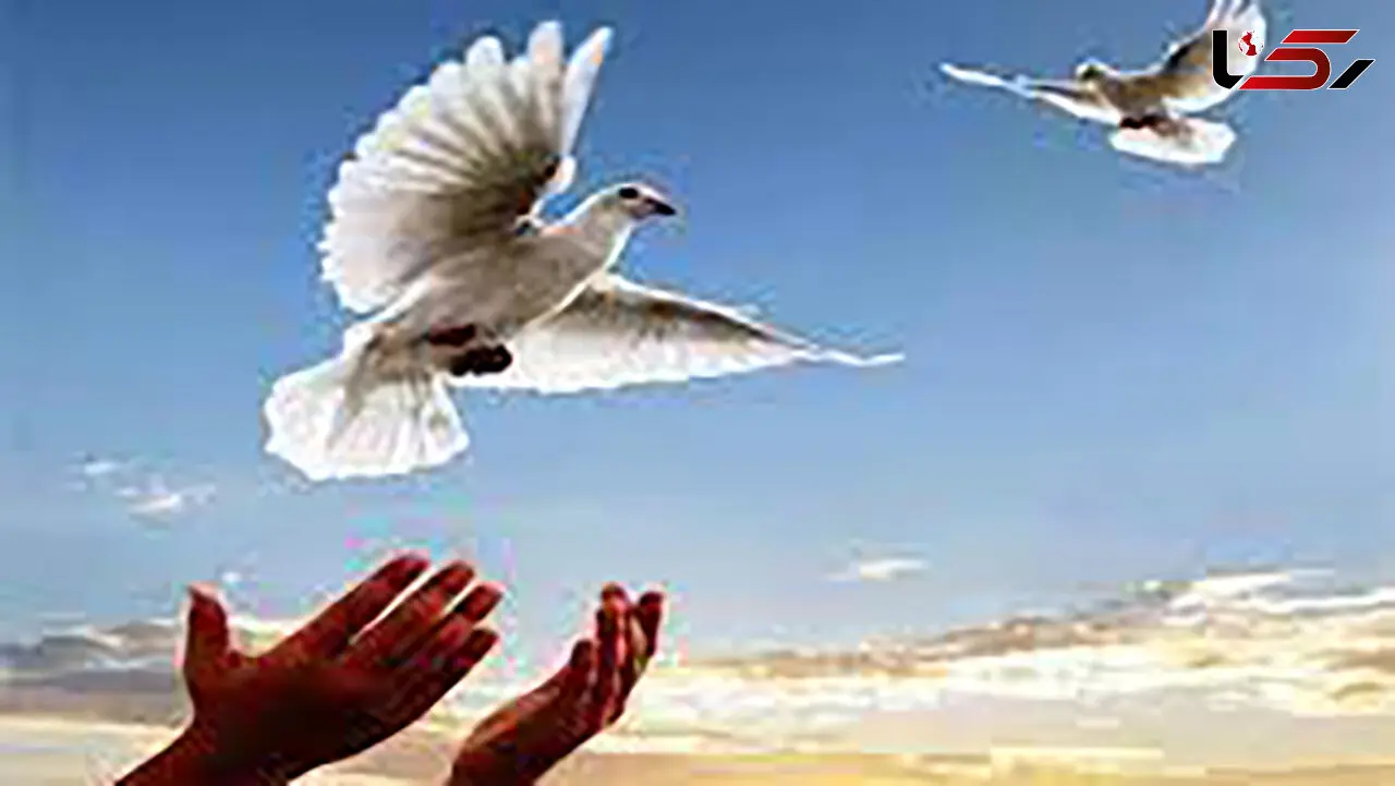 آزادی 176 زندانی در خراسان جنوبی/ در ایام دهه فجر رخ داد