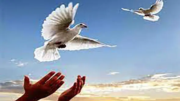 آزادی 176 زندانی در خراسان جنوبی/ در ایام دهه فجر رخ داد