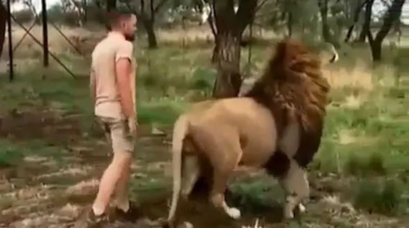 رفاقت آدم با شیر + فیلم