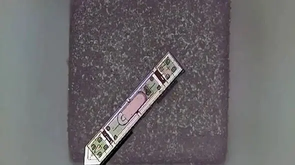 راز شگفت‌ انگیز نفوذ نمک به مغز انسان فاش شد!