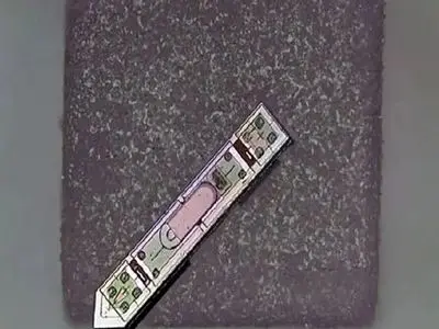 راز شگفت‌ انگیز نفوذ نمک به مغز انسان فاش شد!