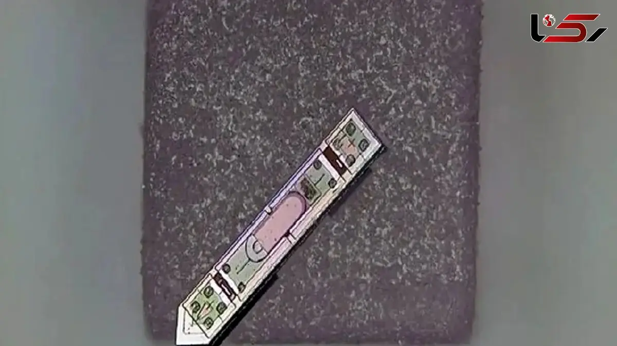 راز شگفت‌ انگیز نفوذ نمک به مغز انسان فاش شد!