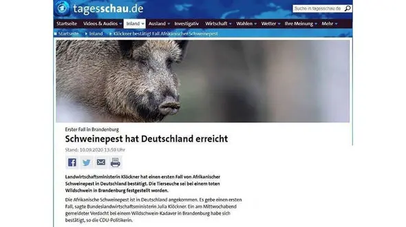 جولان یک ویروس جدید دیگر / این بار از لهستان