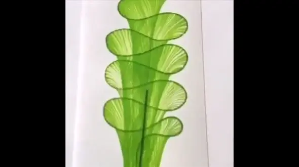 جالب ترین نقاشی با نخ / فیلم