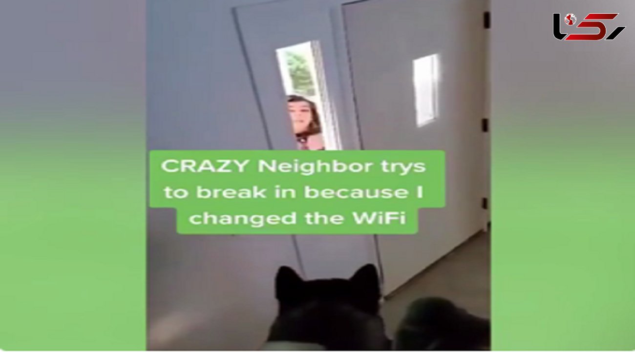 تهدید به کشتن سگ زن همسایه بخاطر رمز وای فای  + فیلم