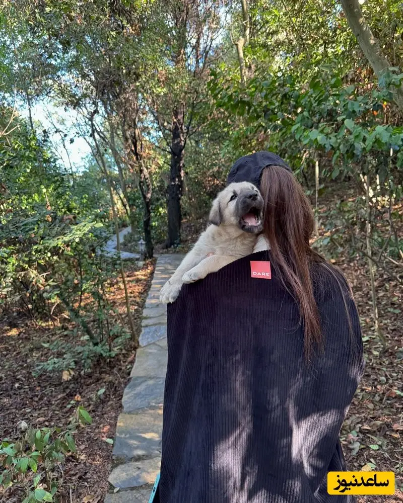 منزل هانده ارچل