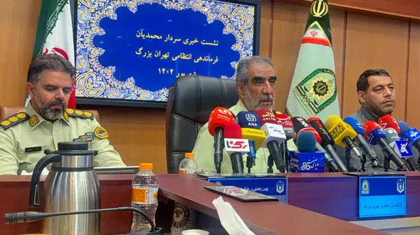 کاهش 34 درصدی سرقت های خشن در تهران / سردار محمدیان خبر داد