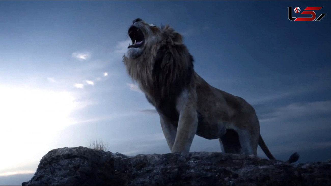 با این ویدئو معلوم میشه چرا شیر سلطان جنگله و نه ببر! + فیلم