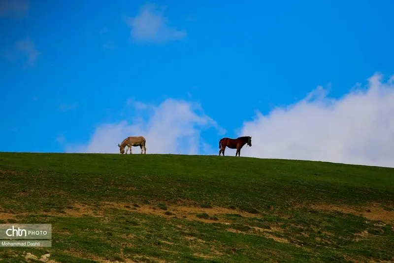 شهرستان گرمی اردبیل (5)