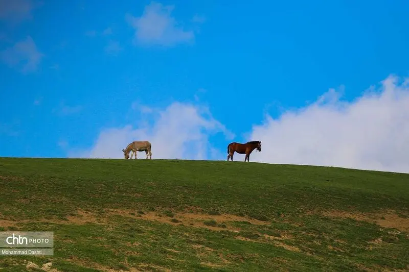 شهرستان گرمی اردبیل (5)
