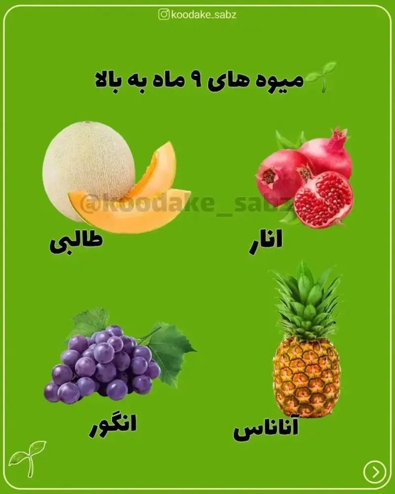 میوه های 9 ماه به بالا