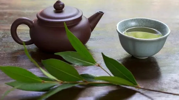 گیاه ضدپیری پوست کشف شد