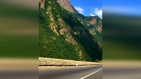 با این فیلم دلتنگ جاده چالوس نمی شوید 