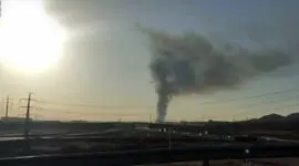 علت دود سیاه در  اطرف پرند چیست + فیلم 