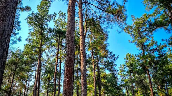 عکس های بکر از سراوان و مرداب سراوان 