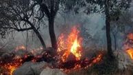 منطقه حفاظت شده «چهل پا» در اندیمشک  آتش گرفت