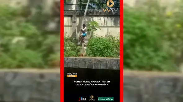 فیلم حادثه خونین در پارک بیکا / حمله شیر به مرد