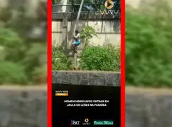 فیلم حادثه خونین در پارک بیکا / حمله شیر به مرد