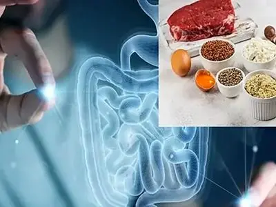 خبر خوب برای مبتلایان به اختلال پرخوری؛ کشف یک روش درمانی جدید