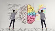 تفاوت بین نیمکره های مغز / اینفوگرافیک