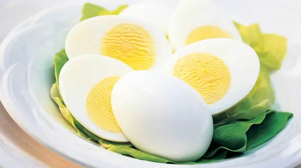 گرسنگی در شب چه چاره ای دارد؟