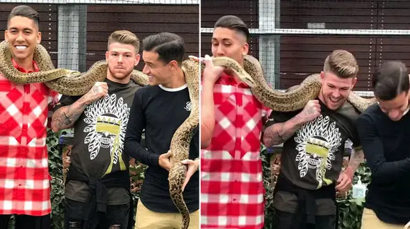 مار غول پیکر بر دوش ستاره های لیورپول + فیلم