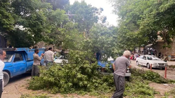 خسارات گسترده تندباد ۸۰ کیلومتری در بجنورد +  عکس 