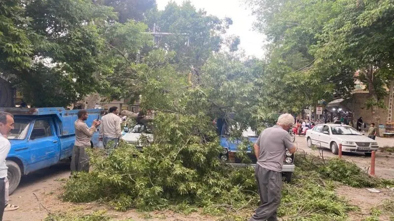 خسارت تندباد ۸۰ کیلومتری در بجنورد
