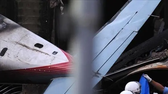 تراژدی هوایی در لس آنجلس / پرواز ربوده‌شده سقوط کرد