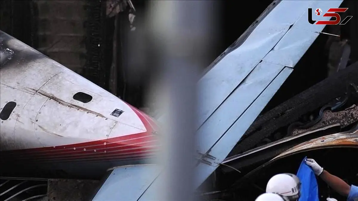 تراژدی هوایی در لس آنجلس / پرواز ربوده‌شده سقوط کرد