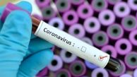 خبر خوب / این دارو مانع تکثیر ویروس کرونا می‌شود