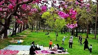 رسم و رسوم جالب در سیزده بدر + فیلم