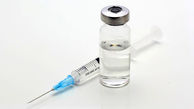 انتشار تصاویر جدید از تلاش دانشمندان ایرانی برای ساخت  واکسن‌کرونا