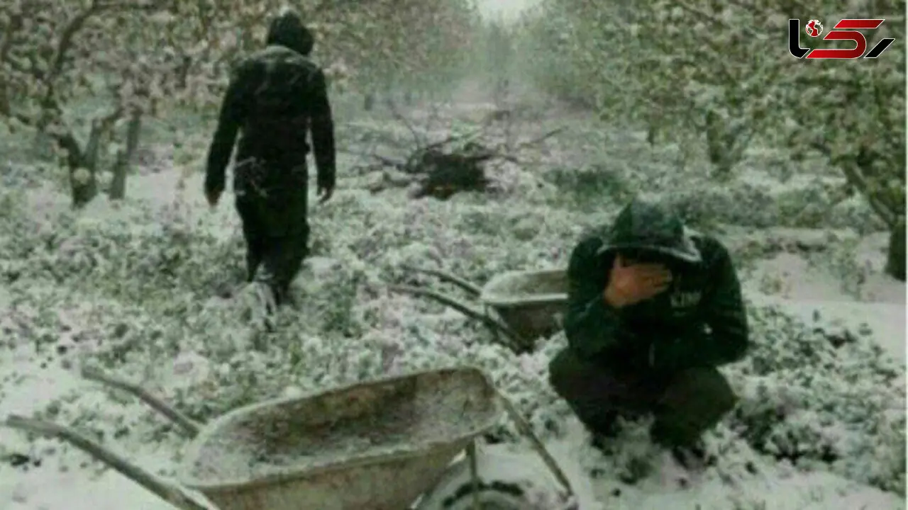 تلخ ترین صحنه از گریه های مردآذربایجانی در باغ پر از برف + عکس