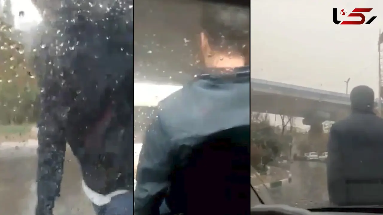 فیلم / اقدام شجاعانه خانم راننده باهوش در برابر مرد گستاخ