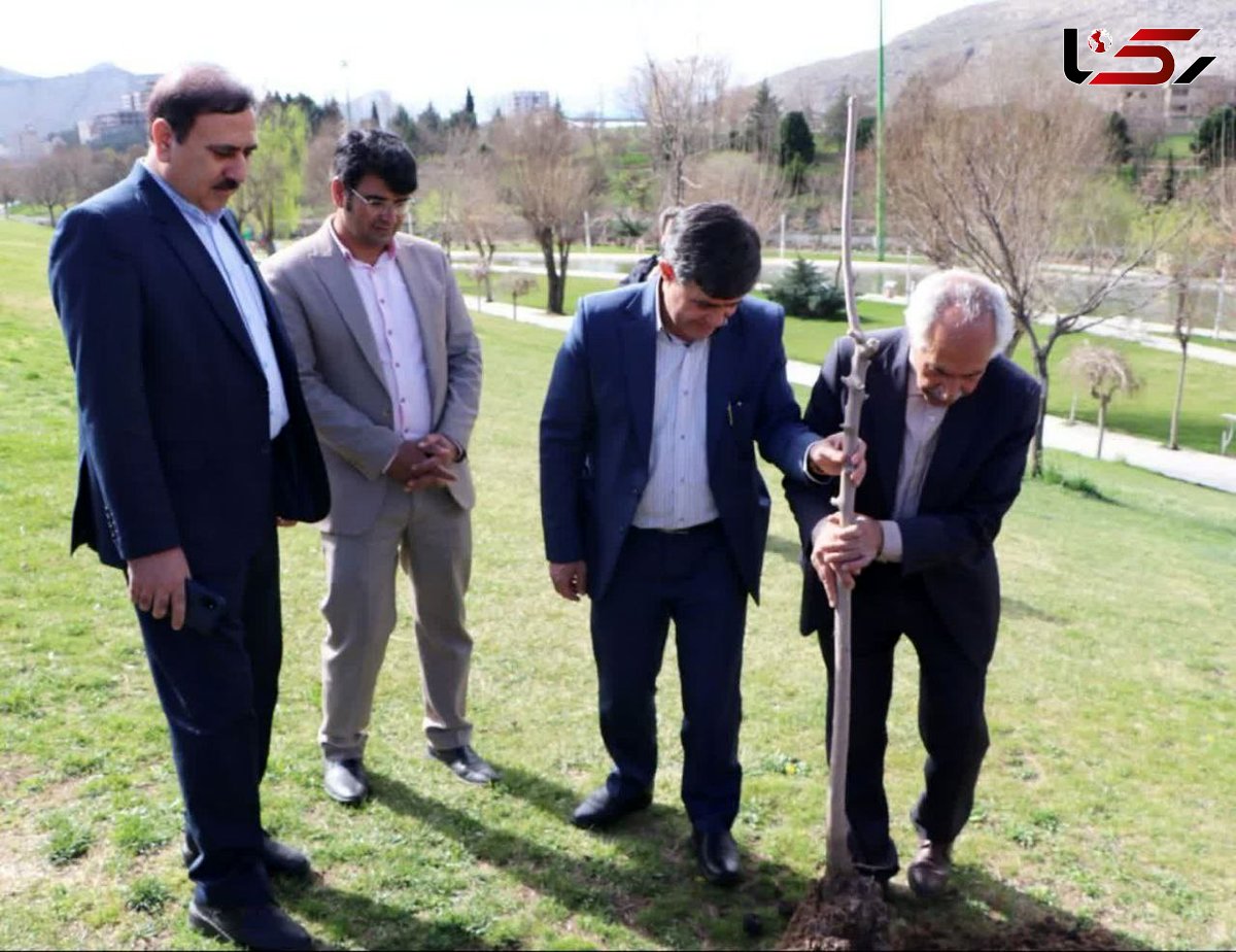 معاون بهبود تولیدات دامی سازمان جهاد کشاورزی لرستان خبر داد / توزیع ۵۱۰۰نهال اصله توت در استان