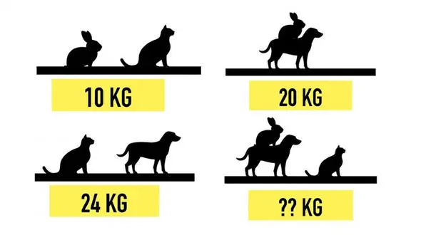 تست: آیا این معماهای ساده را می توانید حل کنید ؟