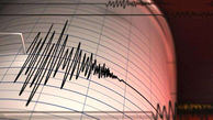زلزله 5.4 ریشتری شمال نیوزلند را لرزاند