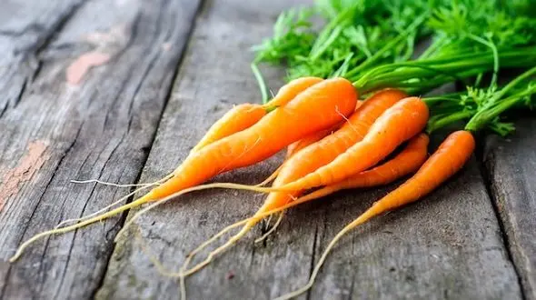 چشمان تیزبین با این دسر جادویی +دستور تهیه
