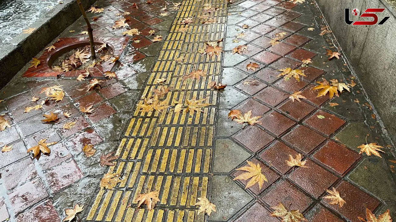 فال روزانه شخصی / 14 آذر ماه + فیلم